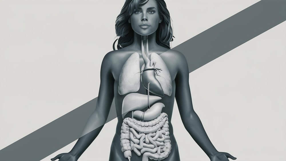Stress et digestion : les solutions