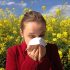 Solutions naturelles pour soulager vos allergies au pollen