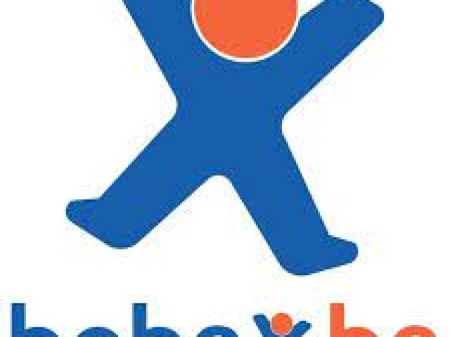 Bobex : Mise en relation entre professionnels et particuliers